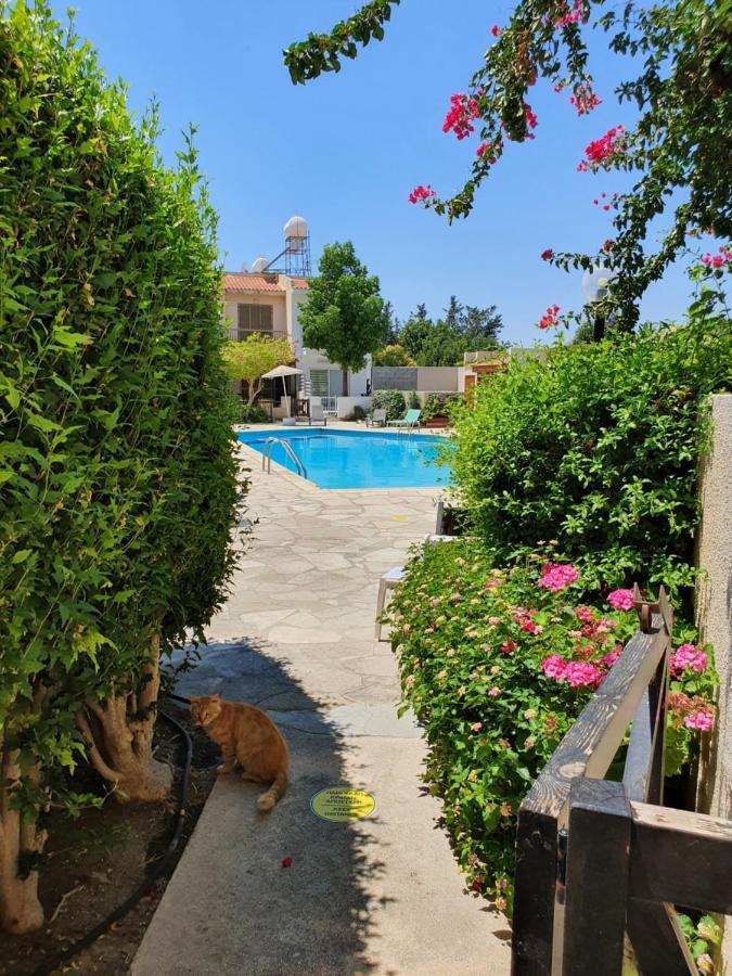 Cosea Living- Flat With Pool, Jasmine Gardens 206 Apartment *