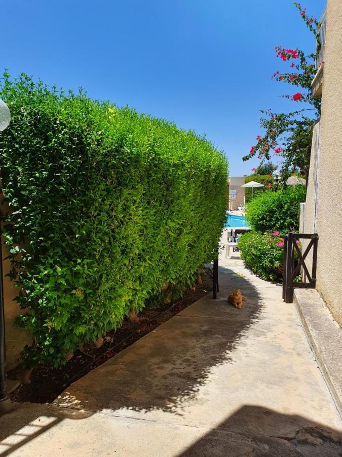 Apartment Cosea Living- Flat With Pool, Jasmine Gardens 206 Paphos